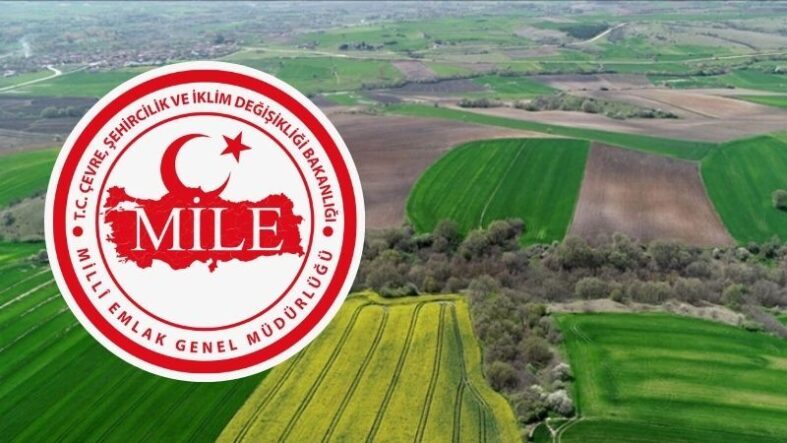 Kastamonu’da 135 bin liraya arazi satışı başladı